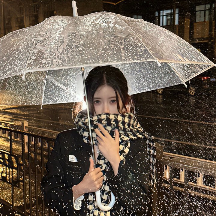 富贵俏女佣 海报